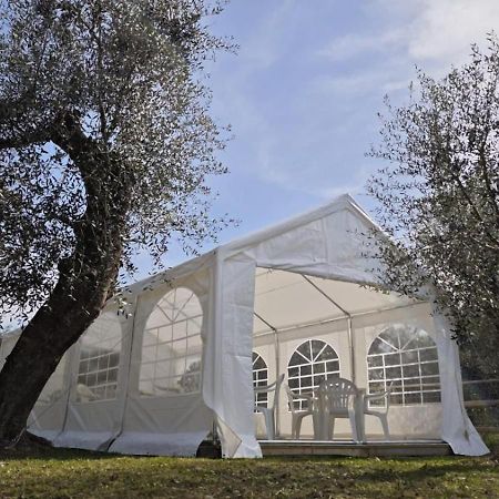 Appartamento Alba Dachi Farm Marina dʼMarina dʼAndora Kültér fotó