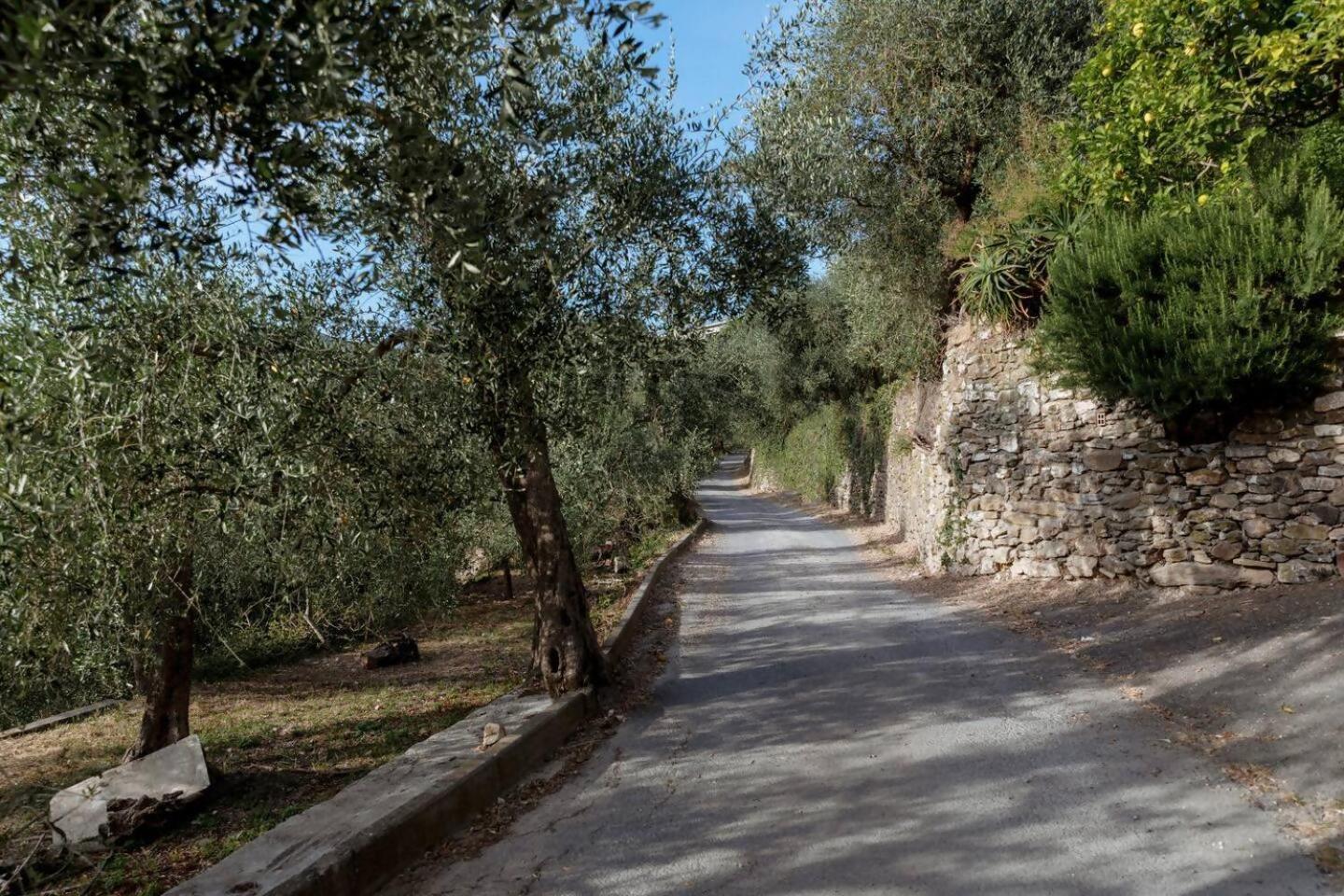 Appartamento Alba Dachi Farm Marina dʼMarina dʼAndora Kültér fotó
