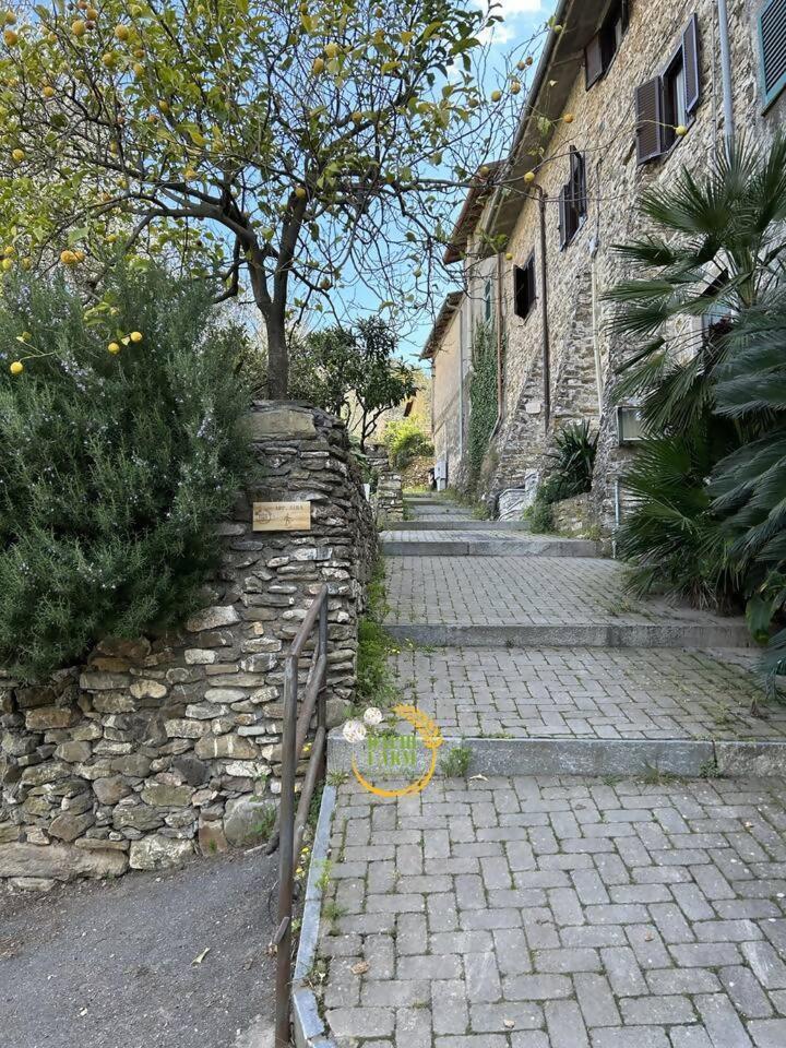 Appartamento Alba Dachi Farm Marina dʼMarina dʼAndora Kültér fotó