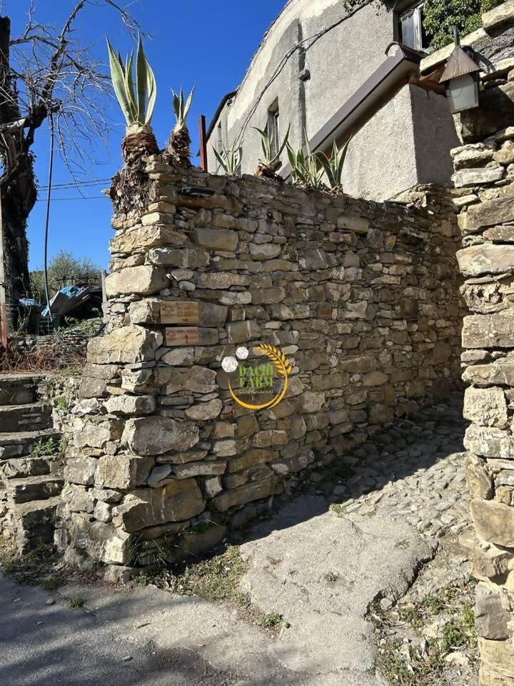 Appartamento Alba Dachi Farm Marina dʼMarina dʼAndora Kültér fotó
