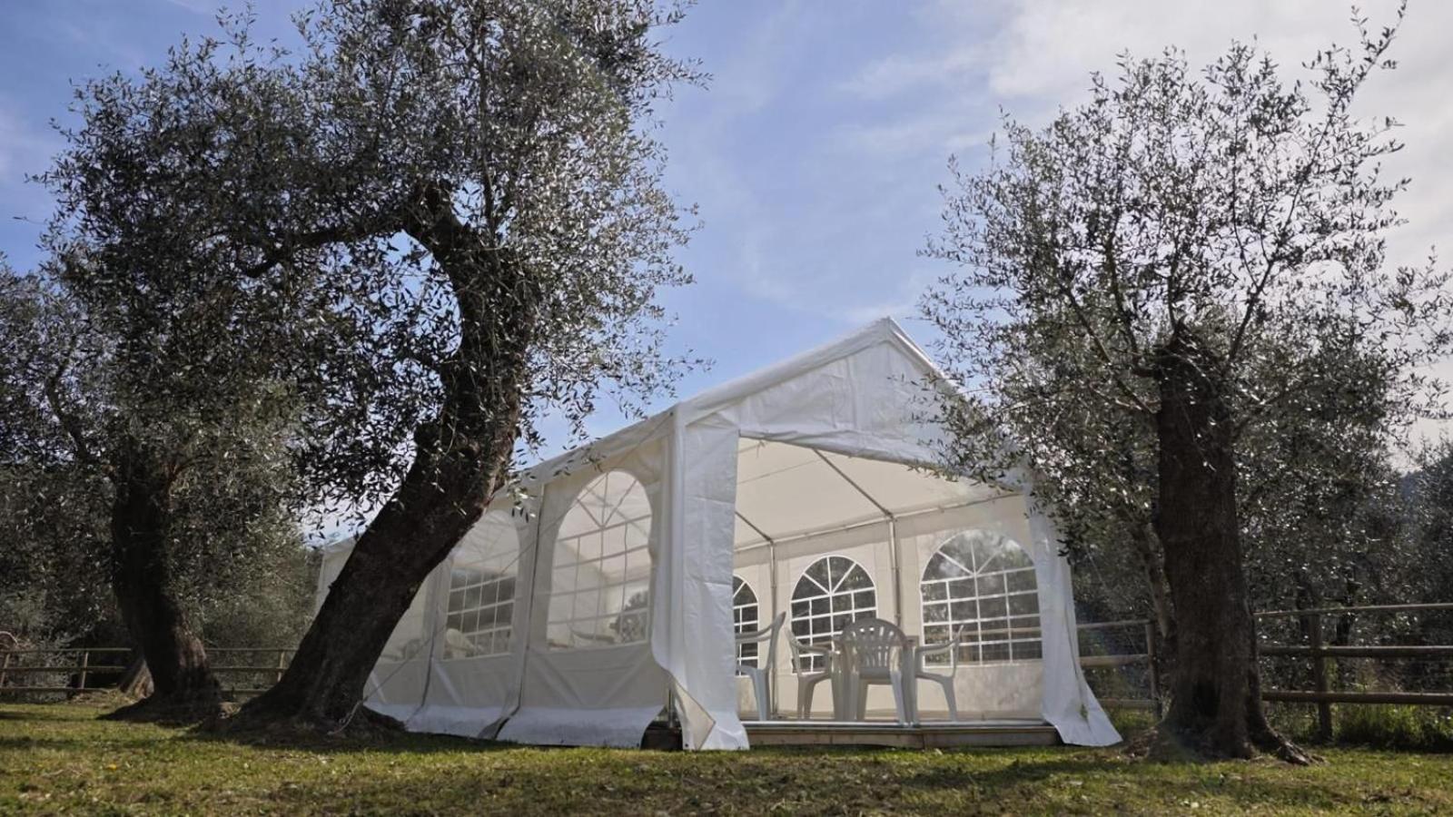 Appartamento Alba Dachi Farm Marina dʼMarina dʼAndora Kültér fotó
