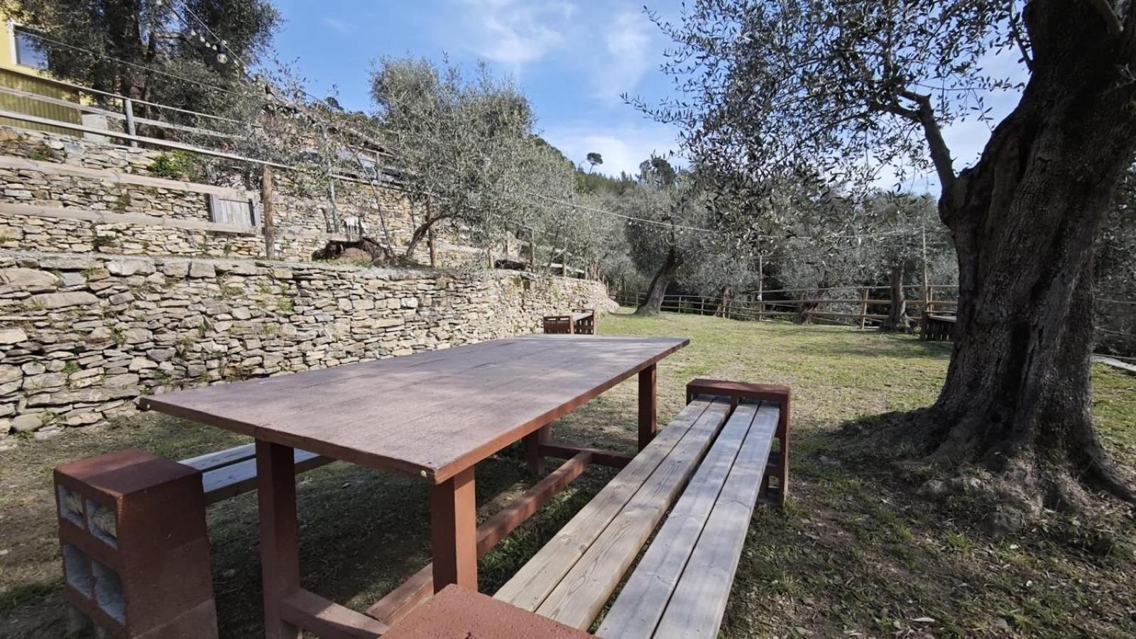 Appartamento Alba Dachi Farm Marina dʼMarina dʼAndora Kültér fotó