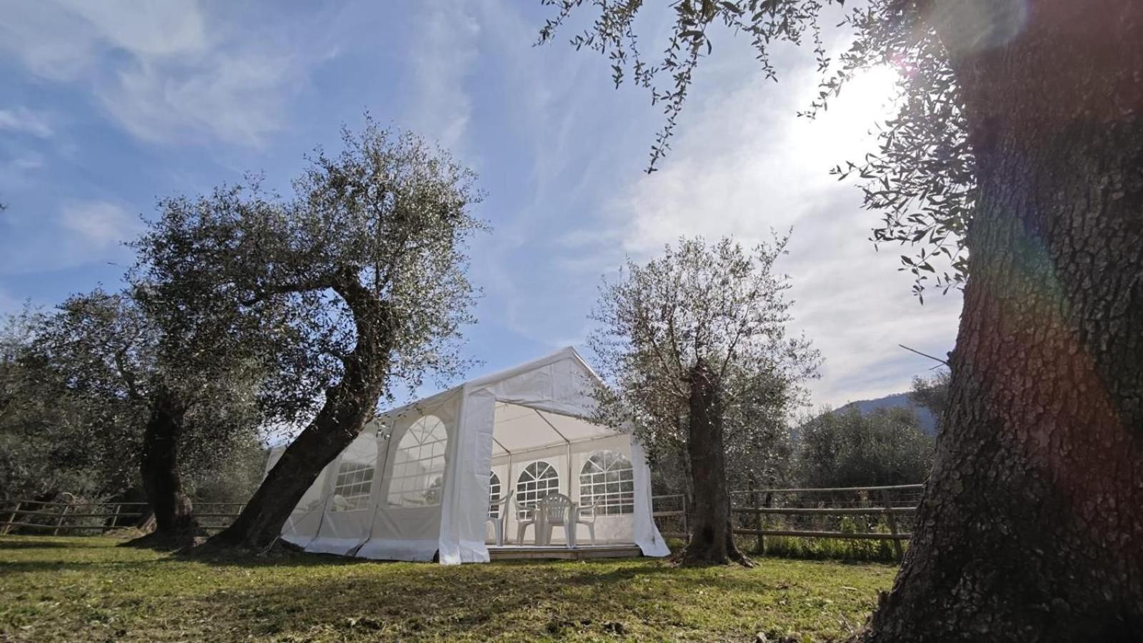 Appartamento Alba Dachi Farm Marina dʼMarina dʼAndora Kültér fotó